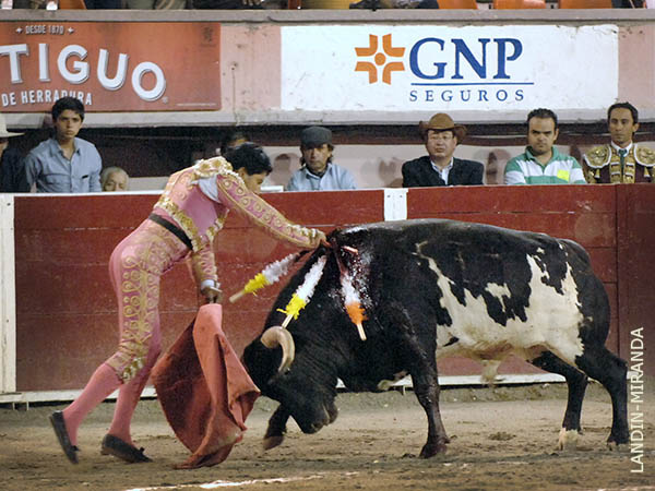 Se mir� con agrado su desempe�o