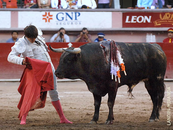 Le puso pitones en el pecho