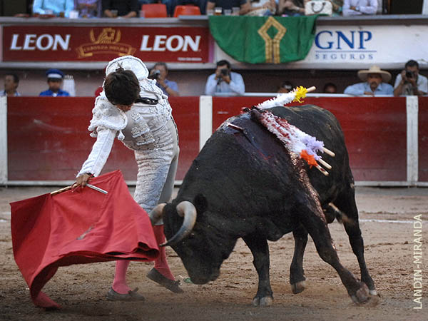 Agallas para caminar en esto