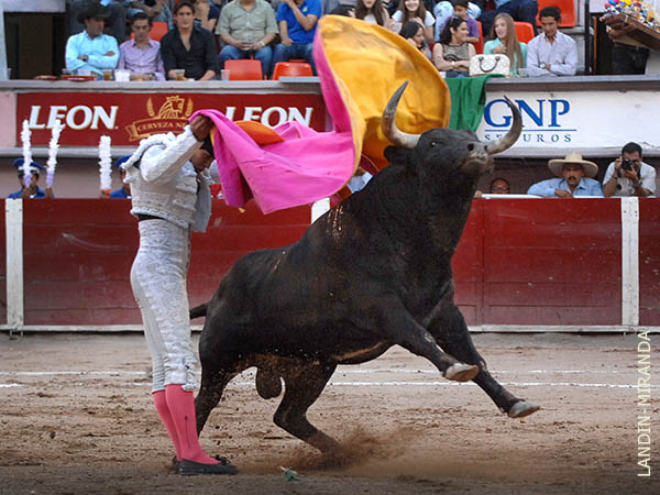 Cal� en el tendido