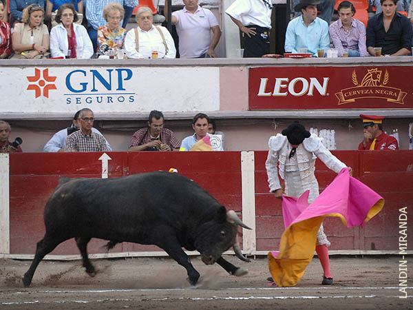 Gerardo saluda al quinto