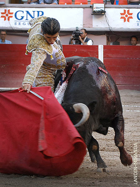 Ense�anzas de Mariano