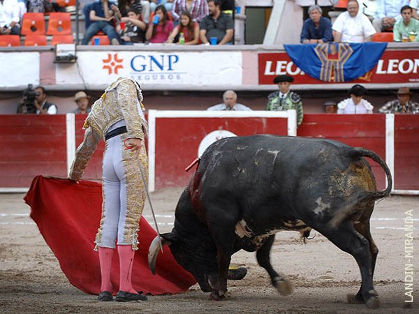 Media muleta muerta por la arena