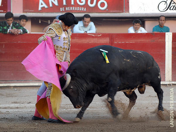 Grato debut de Silis en la feria