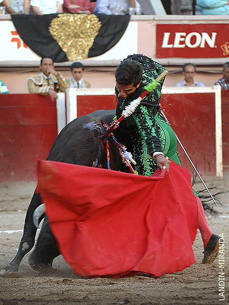 Estructura y ligaz�n