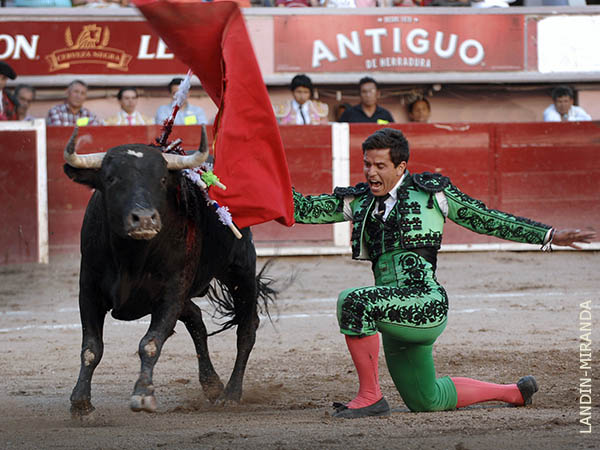 Compiti� por el dorado trofeo