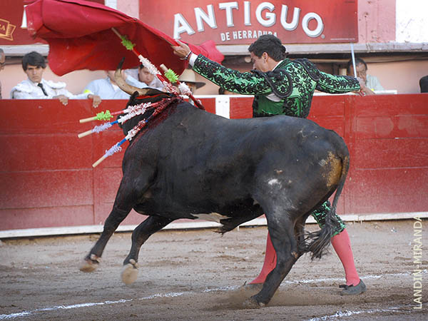 Trasteo din�mico del torero norte�o