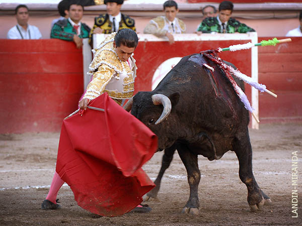 A relucir sus cualidades