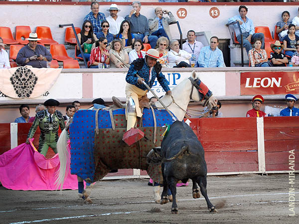 Prendido del morrillo