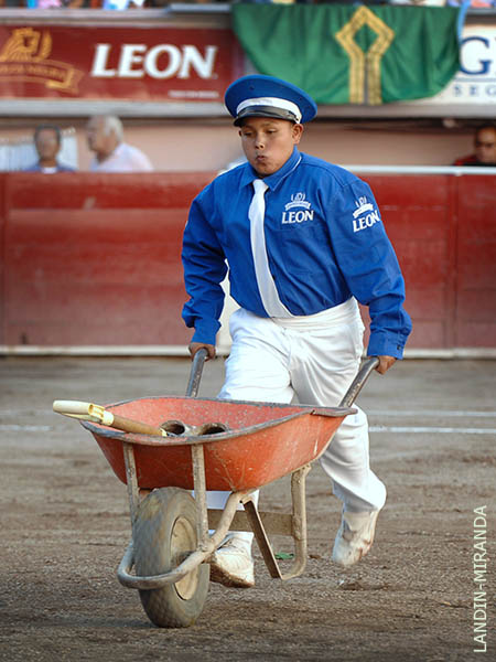 Bueno para las tortugas