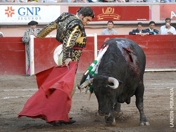 A pulso lo de �torero consentido