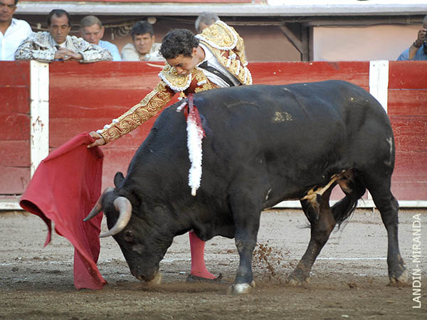 Garra, para quitarse el sombrero