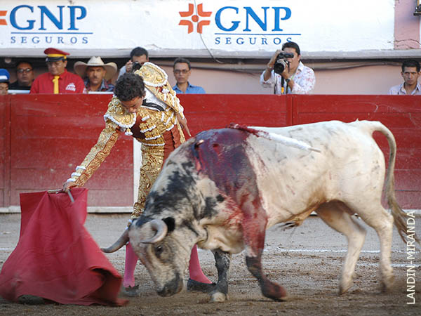 Mand�n con el ensabanado