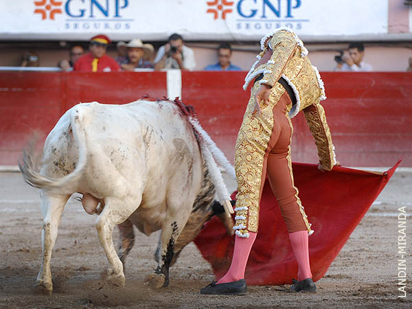 Muleta de suave terciopelo