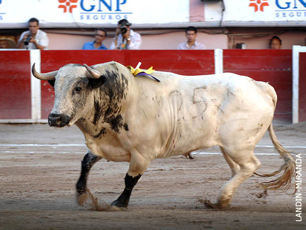 La pinta del tercero