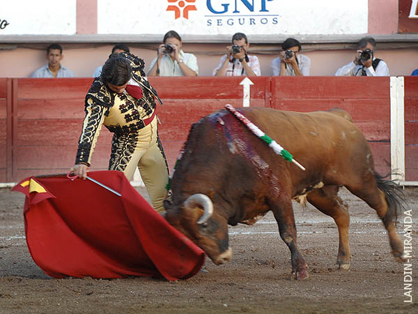 Pinceladas de categor�a y empaque