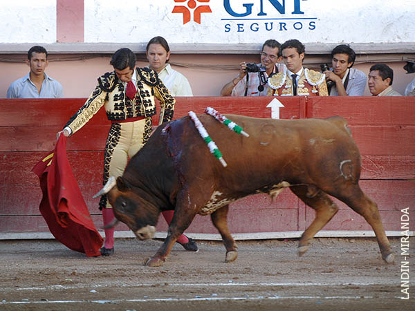 Calibrando al casta�o