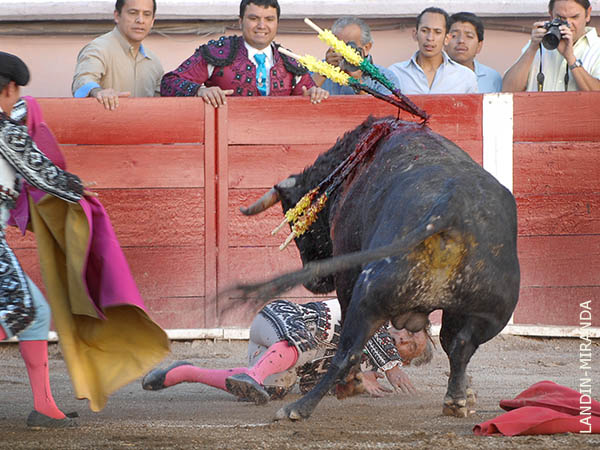 A merced del ejemplar