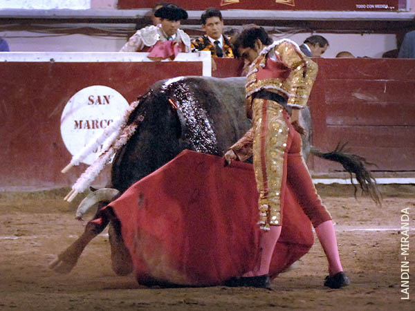 Hoy est� toreando de categor�a