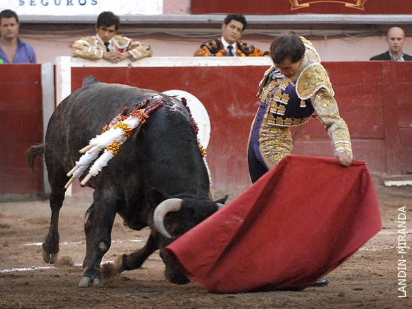 Calidad del trasteo de Mac�as