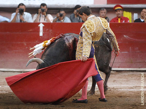 Su toreo fluye con m�s armon�a