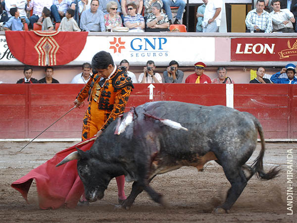 Un toro que exig�a colocaci�n