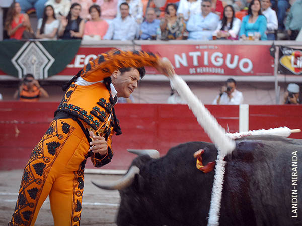 Suerte que domina perfectamente