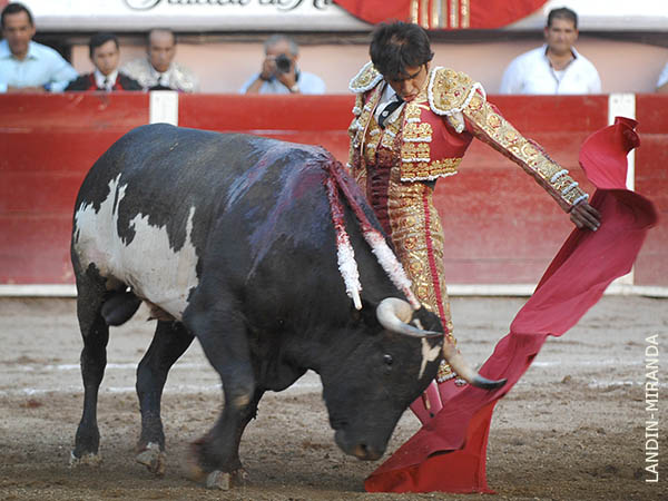 A leguas se le nota un cambio