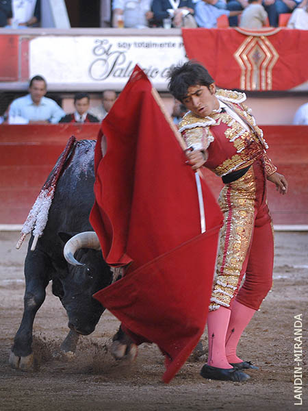 En el camino correcto