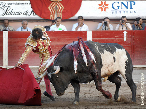 Pis� el albero con mucha seguridad