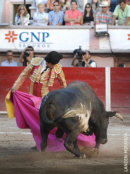 Esta tarde para cuajarlos