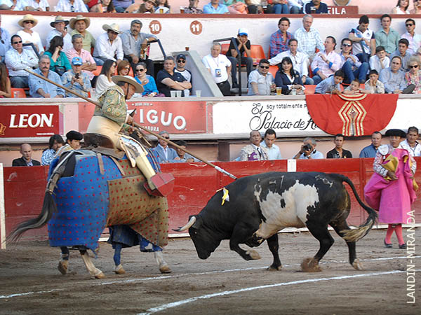 Metiendo la cabeza abajo
