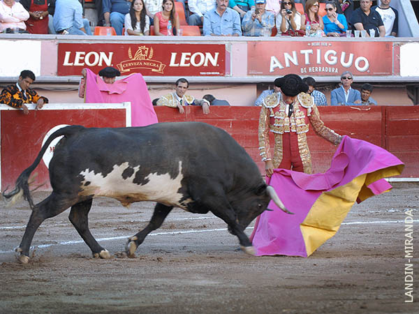 Despacioso y con sello