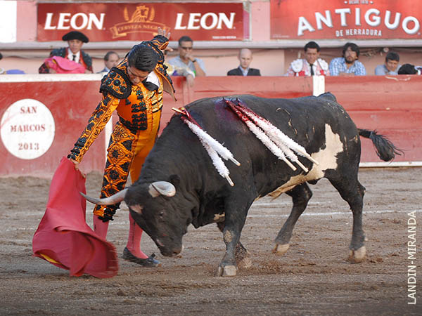 Gan�ndole siempre el terreno
