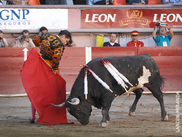 Gust�ndose a la hora de torear