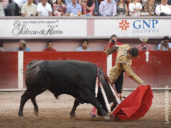 Deslucidos a decir basta