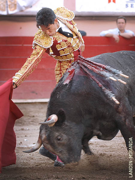 S�lo ese toro vali�