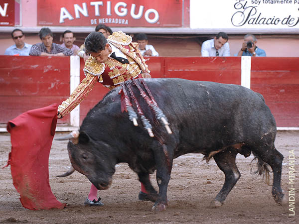 Entendi� que deb�a aprovecharlo