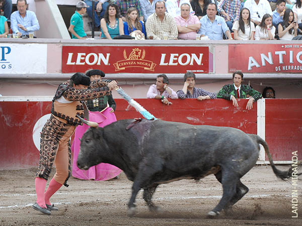 Ajustado par de Fernando