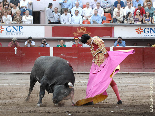 Media en el centro del albero