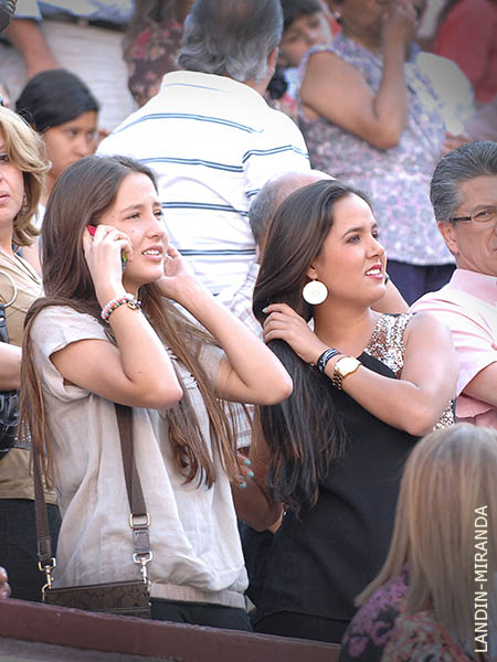 Barreras engalanadas