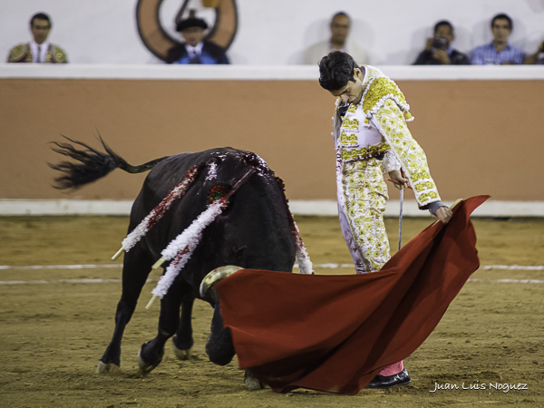 Desde�osa elegancia