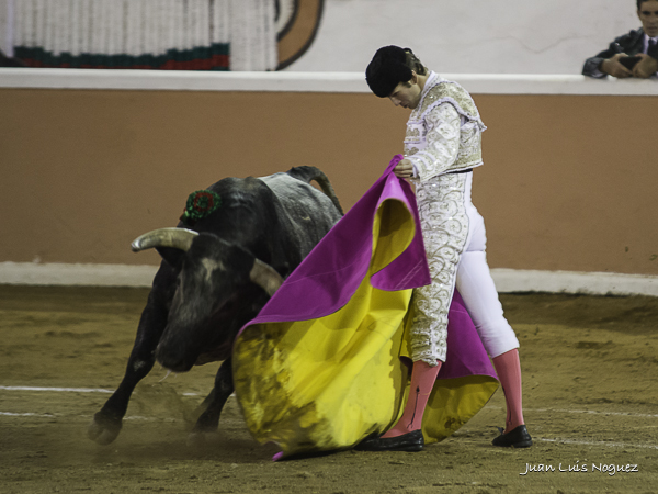 Octavio, a la ver�nica