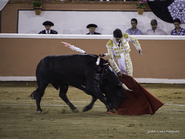 Elegante trincherazo