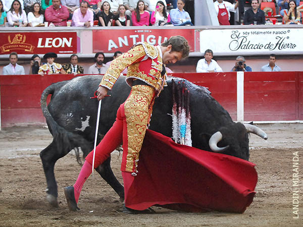 �Qu� manera de cuajar un toro!