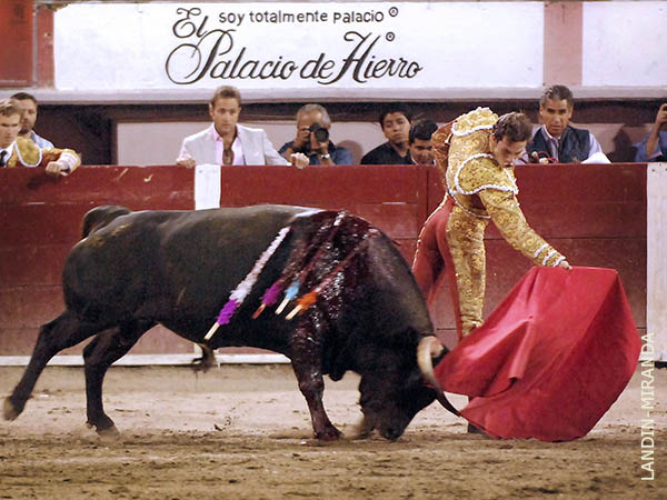 La gente lo quiere bien y lo espera