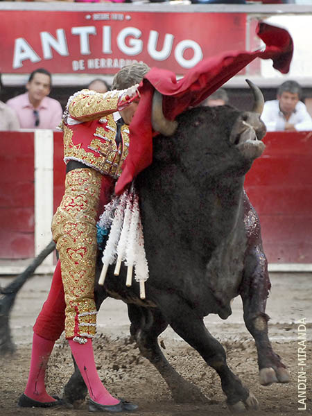 Enamor� al p�blico