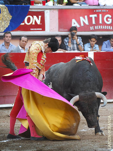 El Payo con el quinto