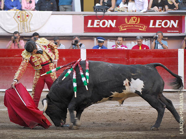 El pecho en la barbilla