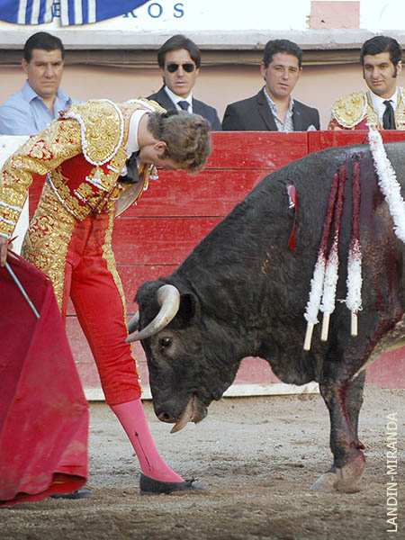 Dej� acariciar los muslos